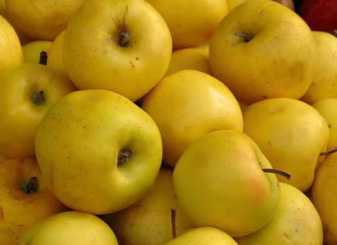 قیمت سیب ترش زرد با کیفیت ارزان + خرید عمده